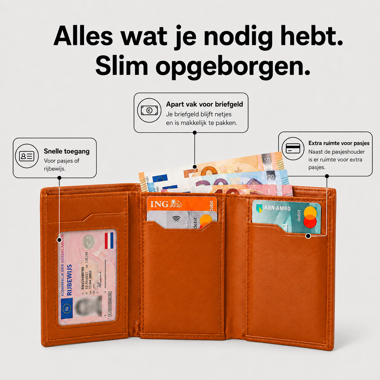 De Highbuckle Fold